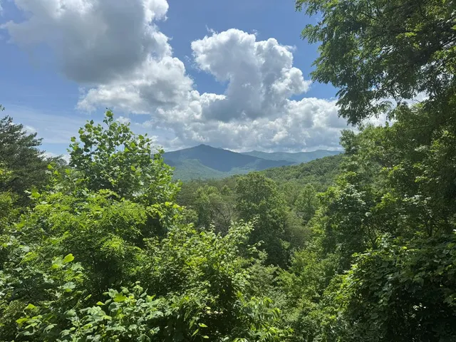 $529,000 | 6124 Stone Mill Drive, Young Harris, GA 30582