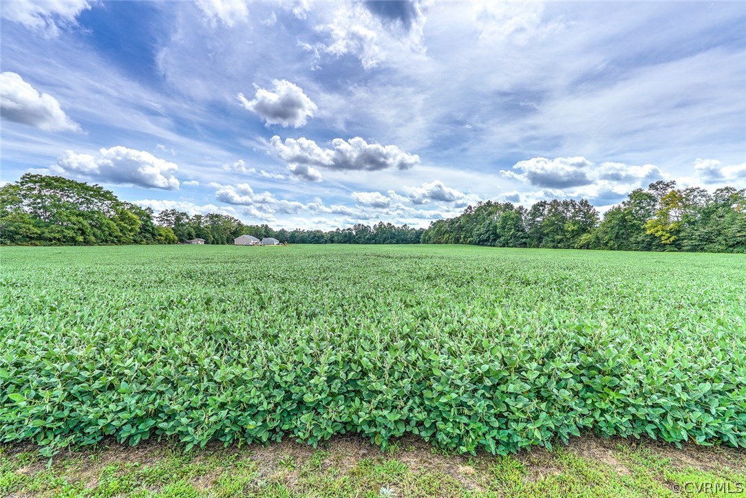 10869 Dabneys Mill Road Hanover, VA 23069 - Photo 24 of 31 Gallery Image 24