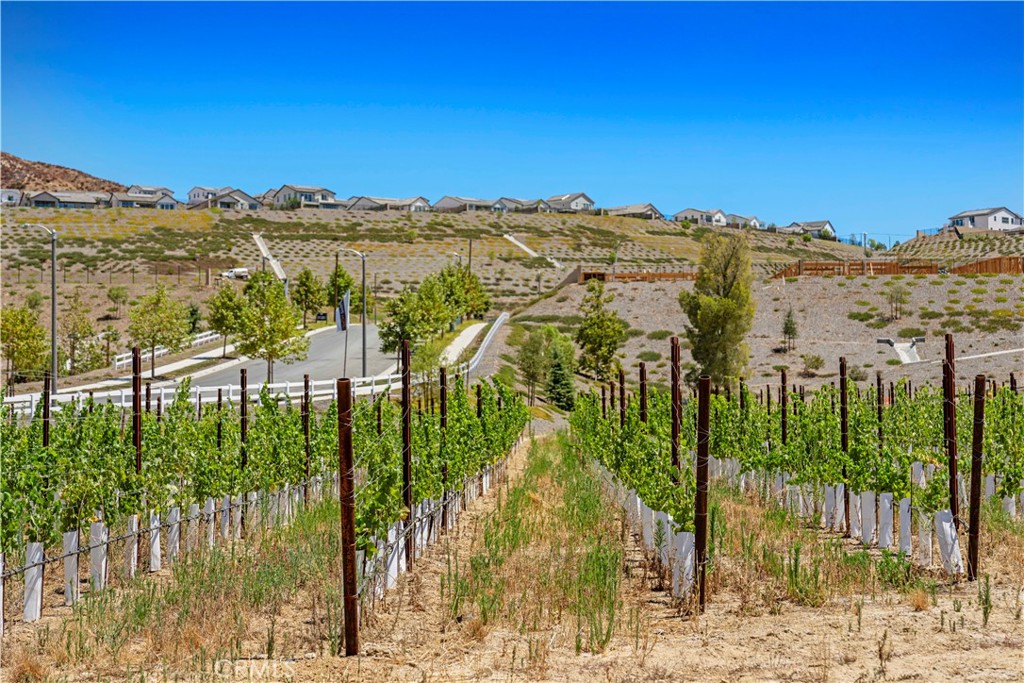 30015 Chestnut Lane Castaic, CA 91384 - Photo 58 of 60 a view of a city