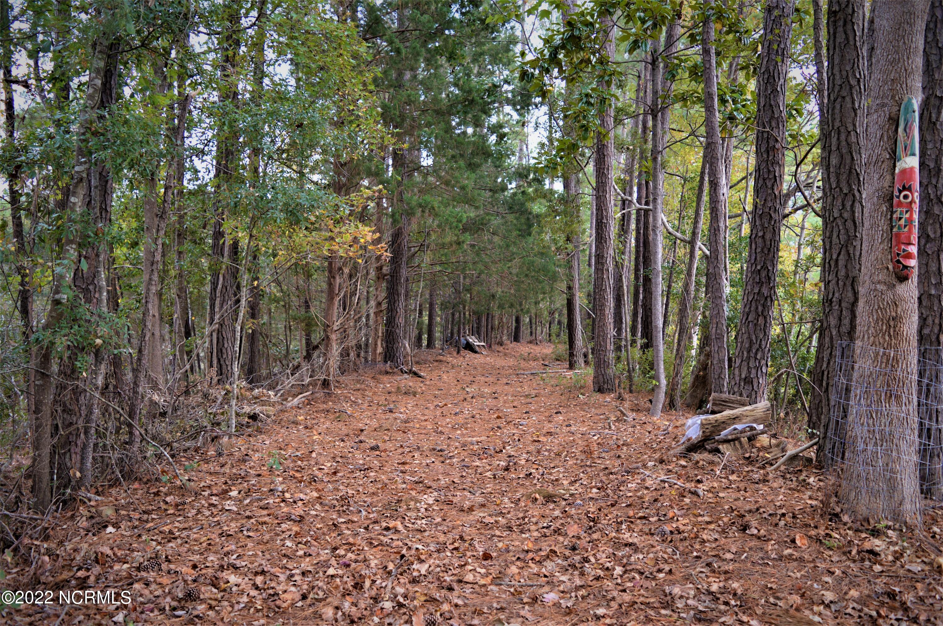 119 Riverside Drive Supply, NC 28462 - Photo 29 of 97 DSC_0115 (2)