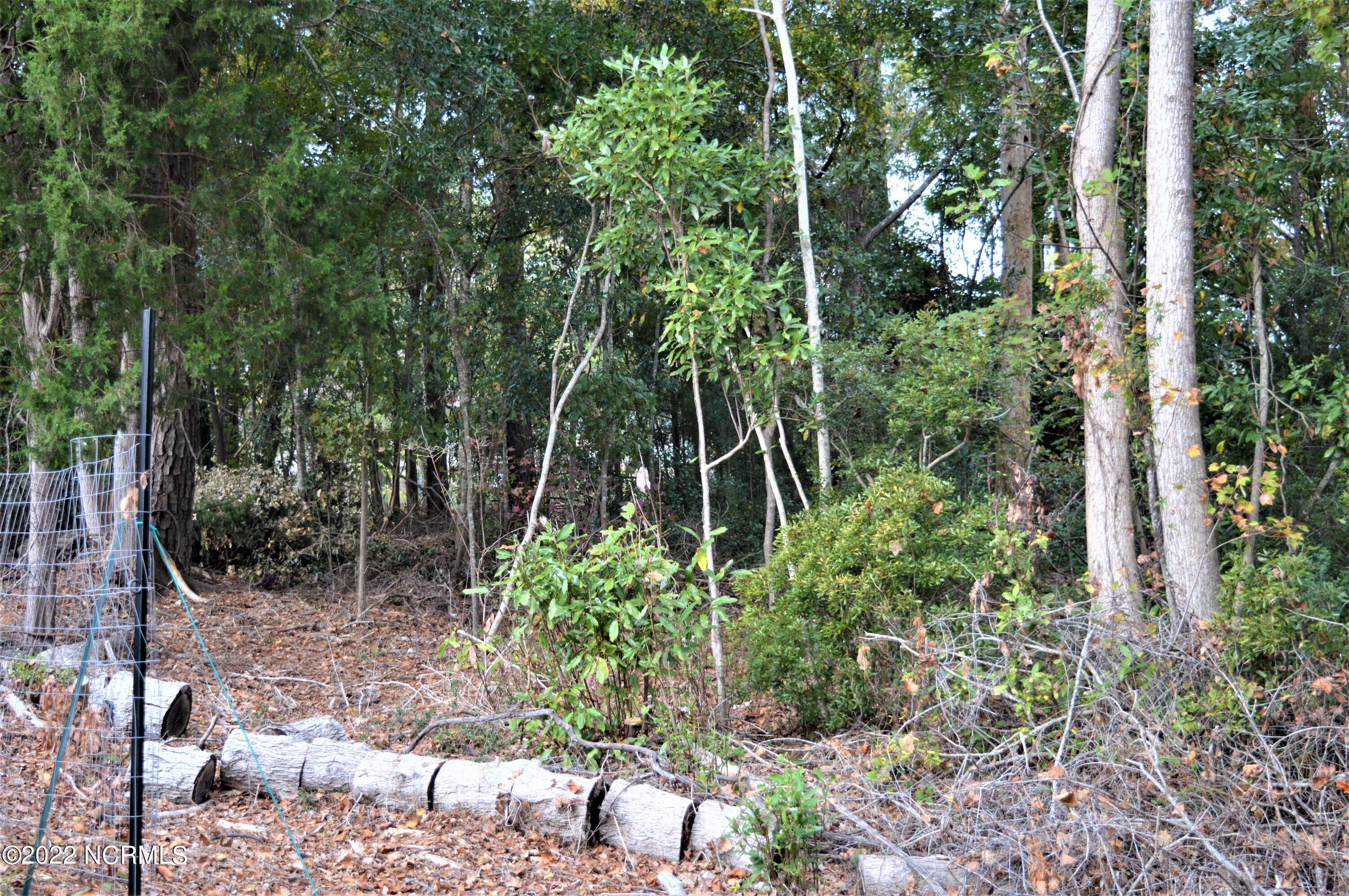 119 Riverside Drive Supply, NC 28462 - Photo 89 of 97 DSC_0117 (2)