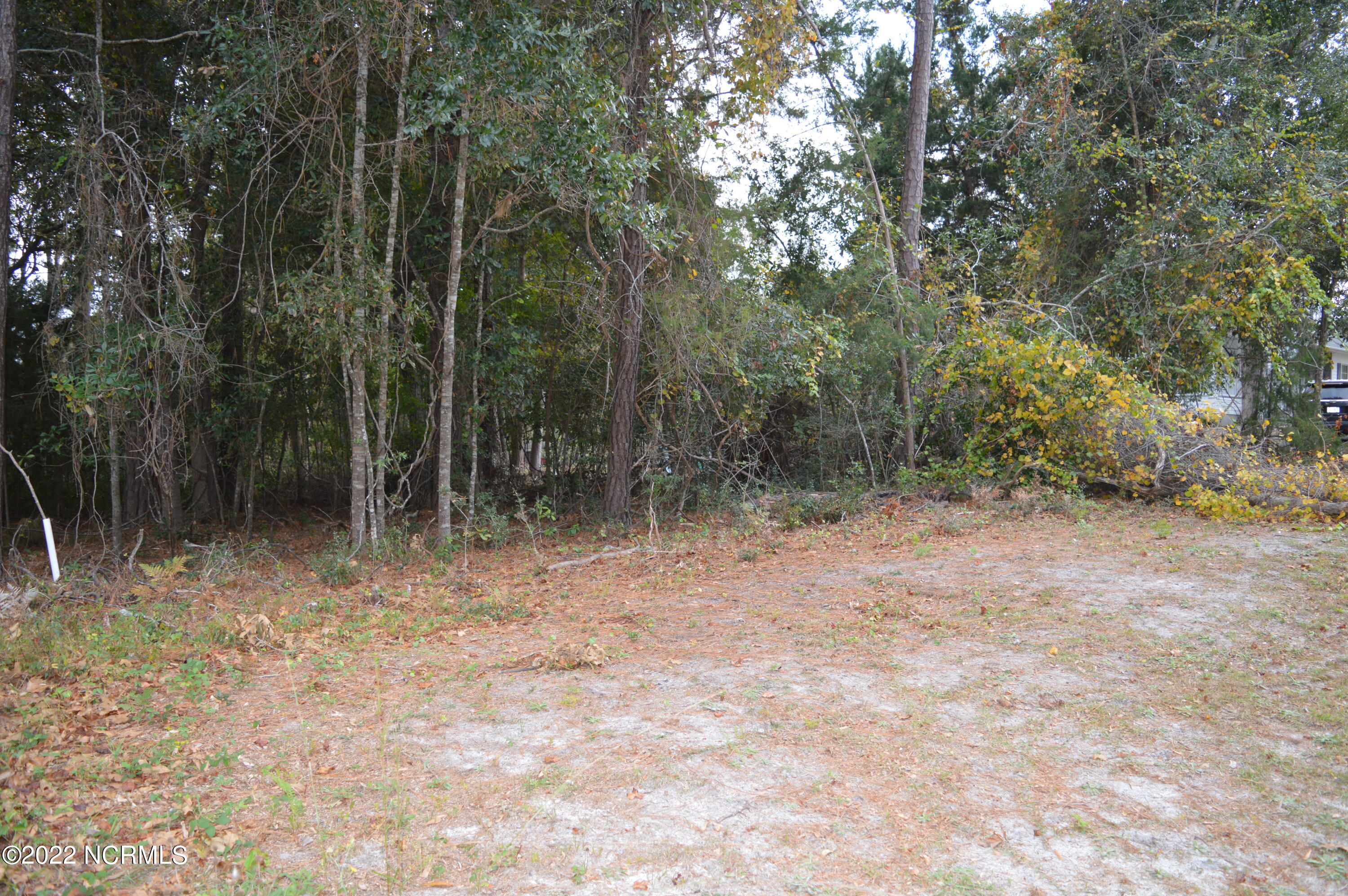 119 Riverside Drive Supply, NC 28462 - Photo 90 of 97 DSC_0123