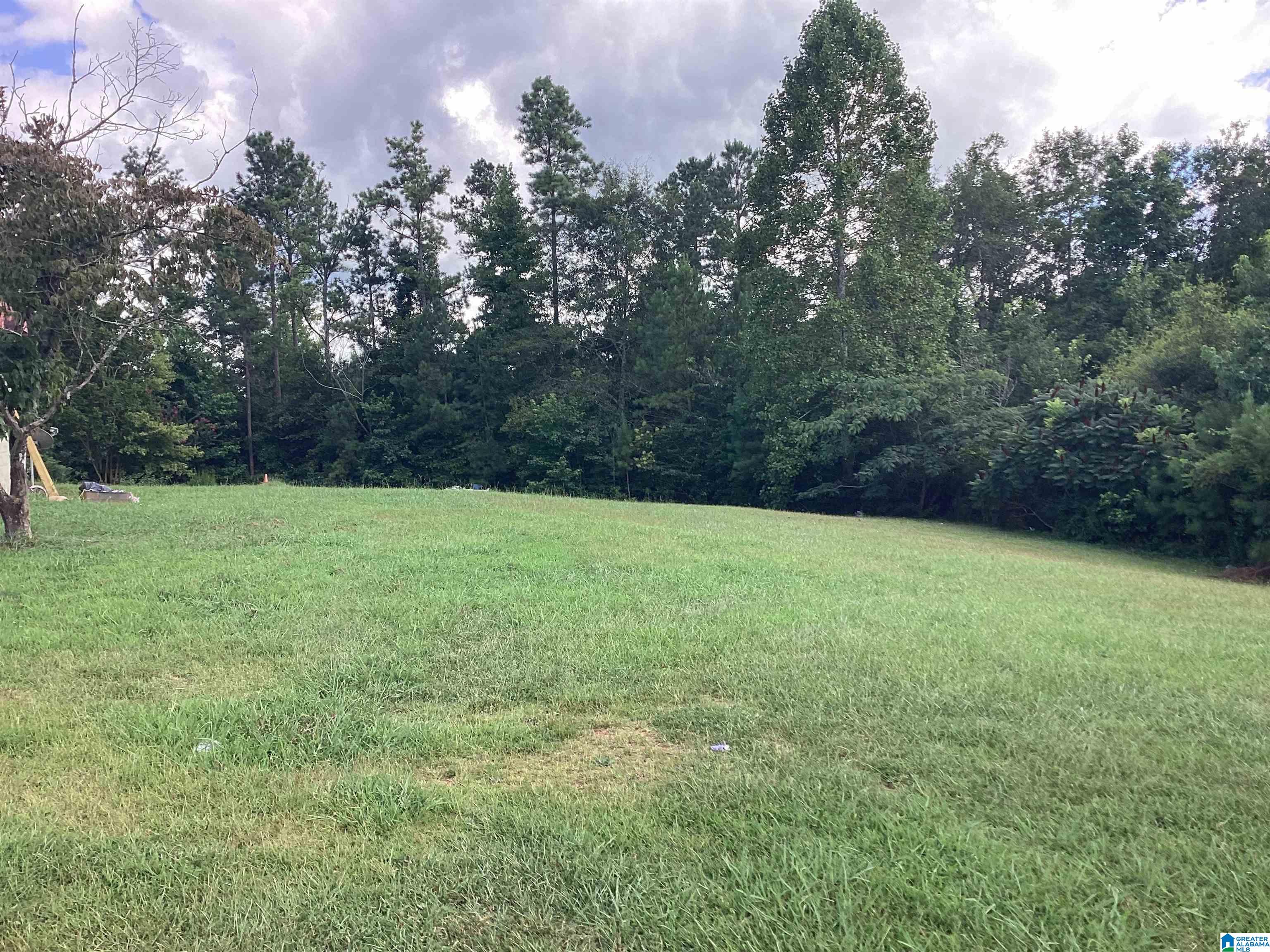 1725 Owens Road Ashland, AL 36251 - Photo 15 of 16