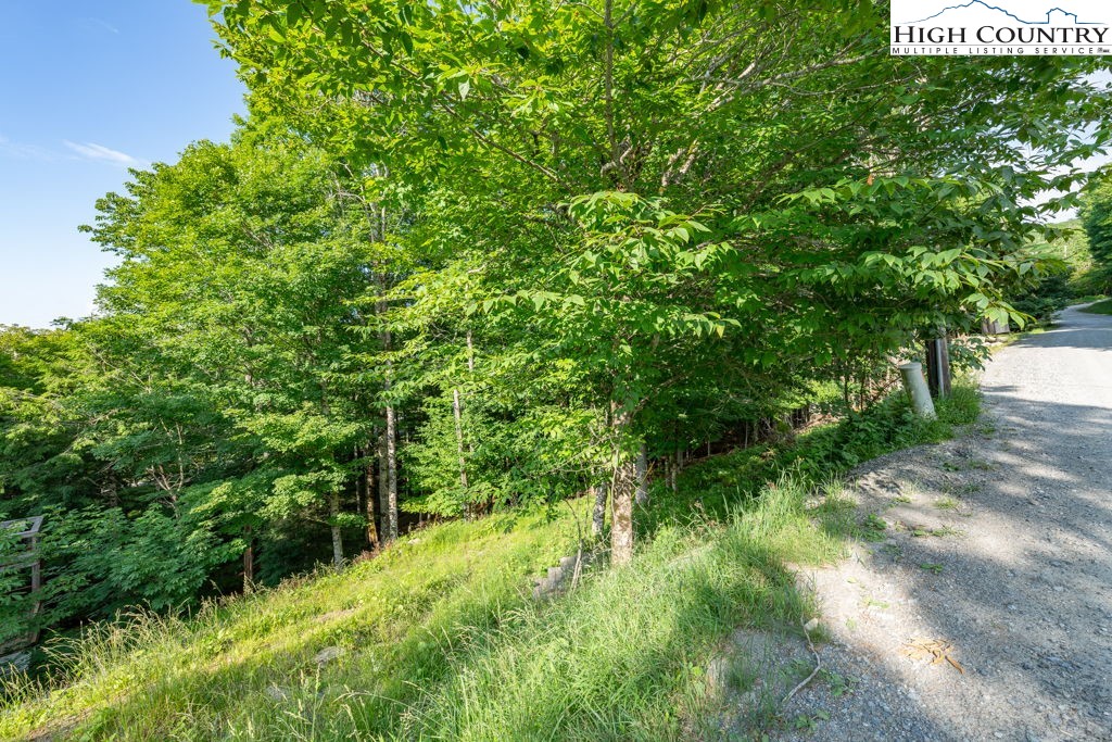 907 Charter Hills Road Beech Mountain, NC 28604 - Photo 3 of 17