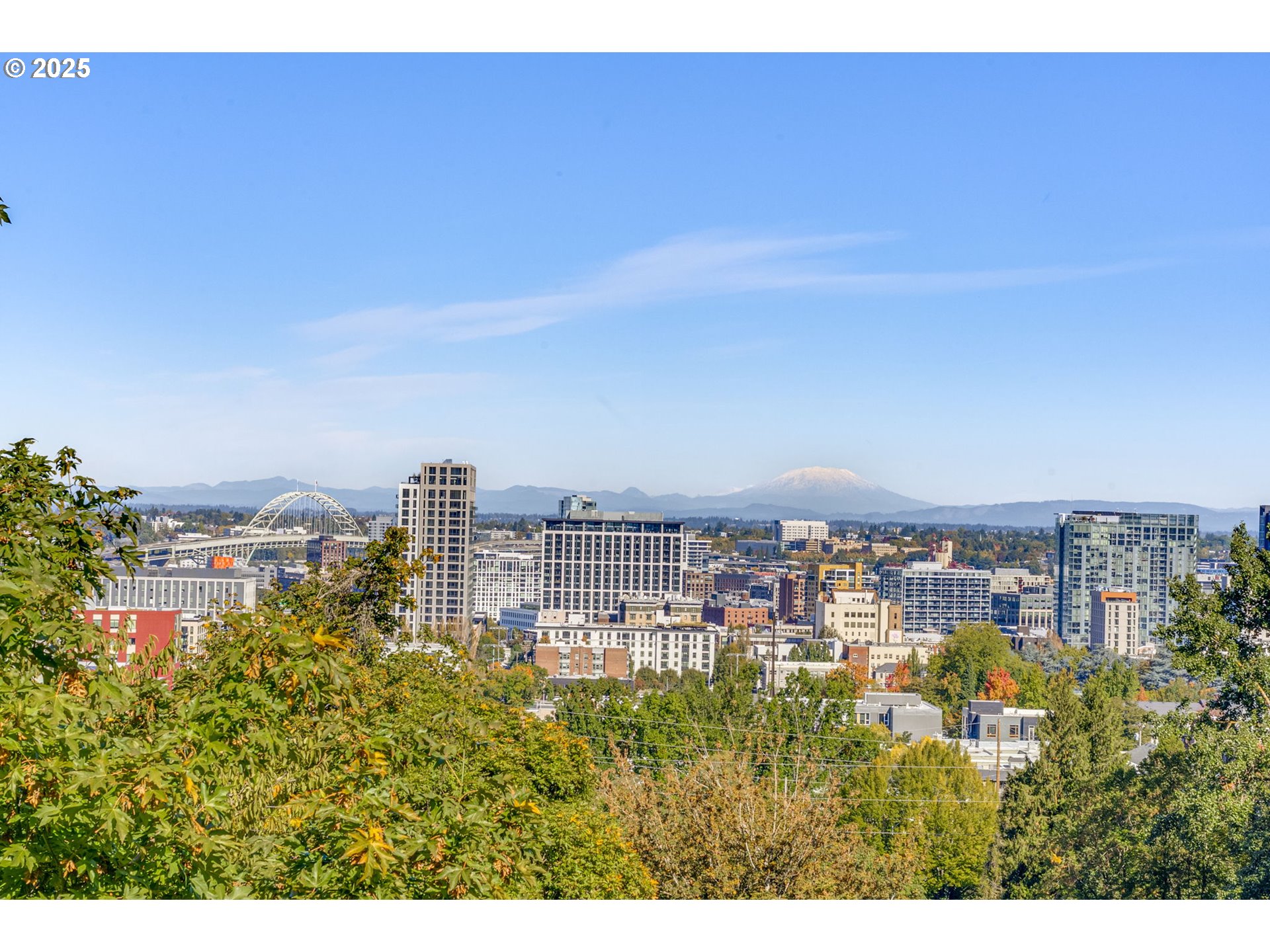 1515 Southwest Upper Hall Street Portland, OR 97201 - Photo 45 of 47 Backyard