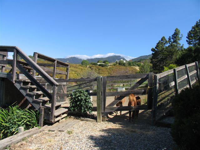 317 Northridge Road Santa Barbara, CA 93105 - Photo 42 of 45 Horse Corral Lower Portion Of Property