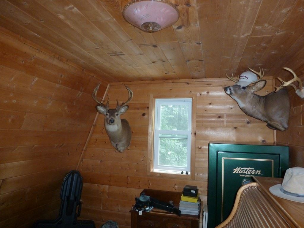 9867 Tower Road Northeast Kalkaska, MI 49646 - Photo 21 of 83 1846755-20.JPG
