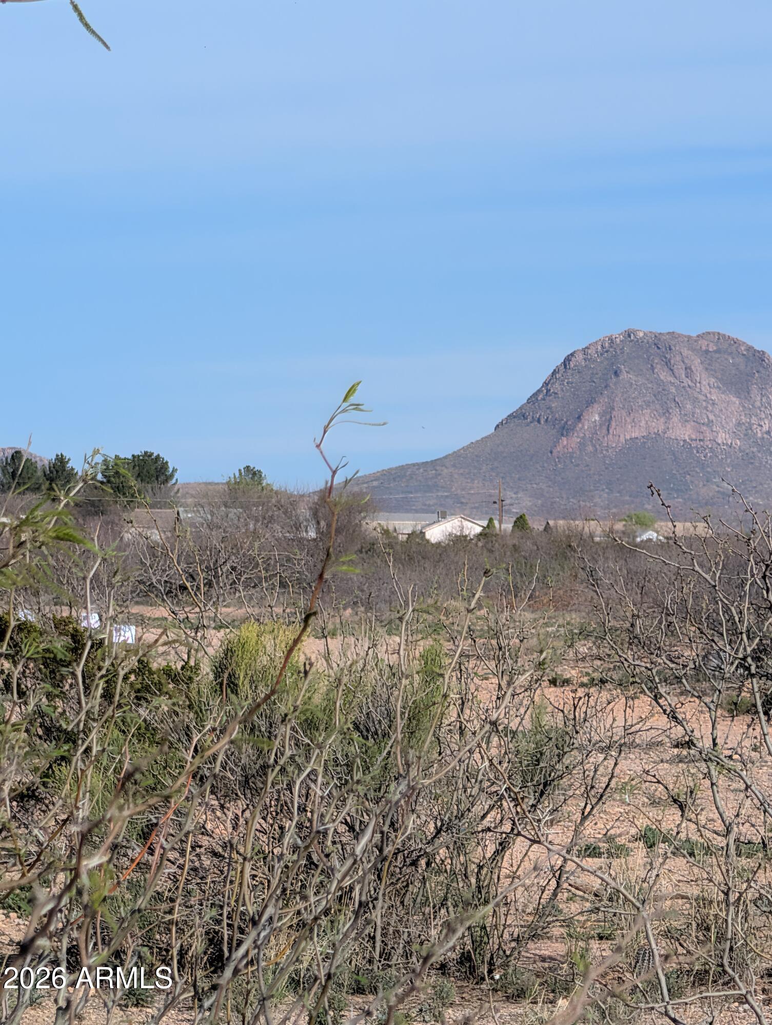 Lot#14 East 5th Street, Unit 14 Douglas, AZ 85607 - Photo 5 of 6 a view of a mountain in the distance in a field
