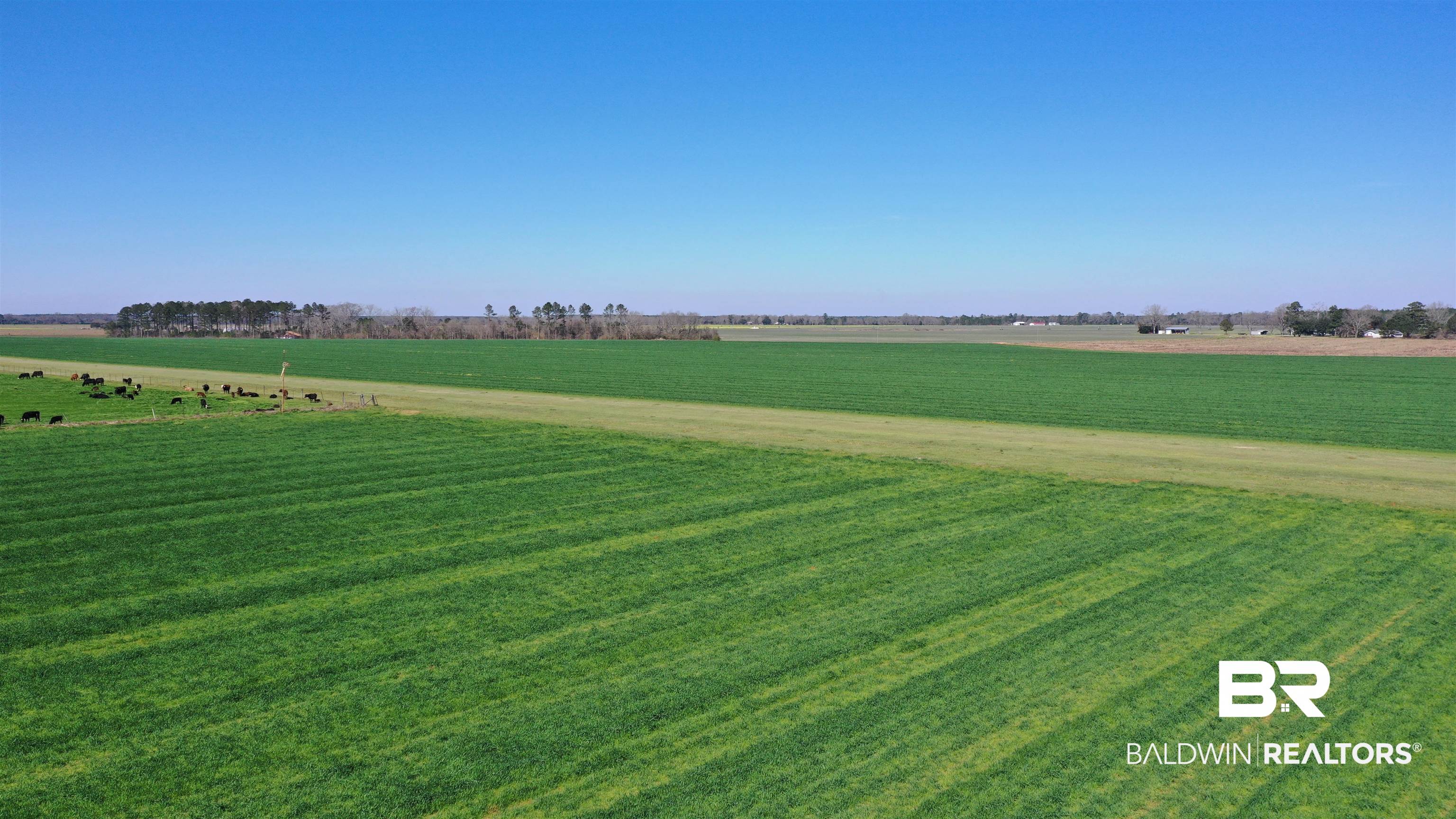 Lot 14 Davis Pond Road Atmore, AL 36502 - Photo 7 of 14