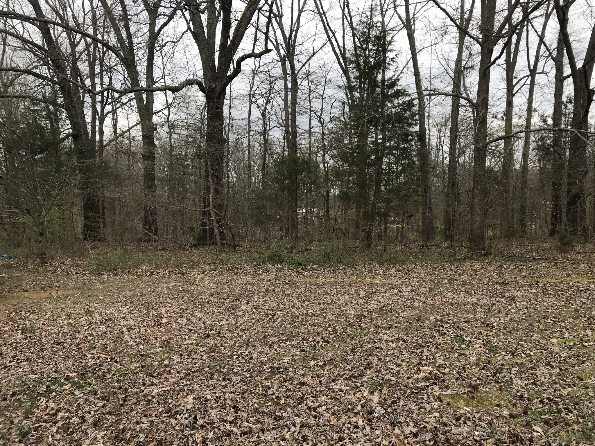 751 Balthrop Road Chapmansboro, TN 37035 - Photo 20 of 21 Gallery Image 20