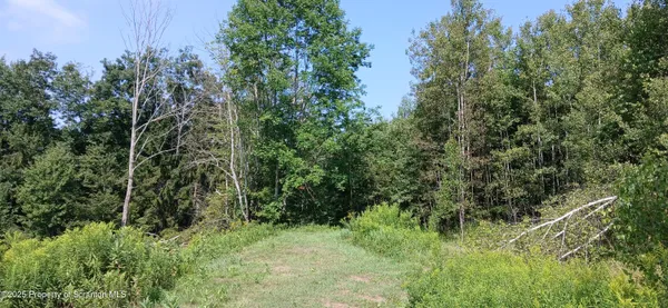 a view of a green yard with large trees