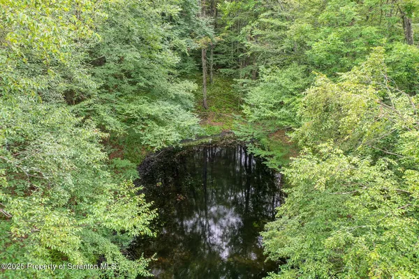 a view of a lush green space
