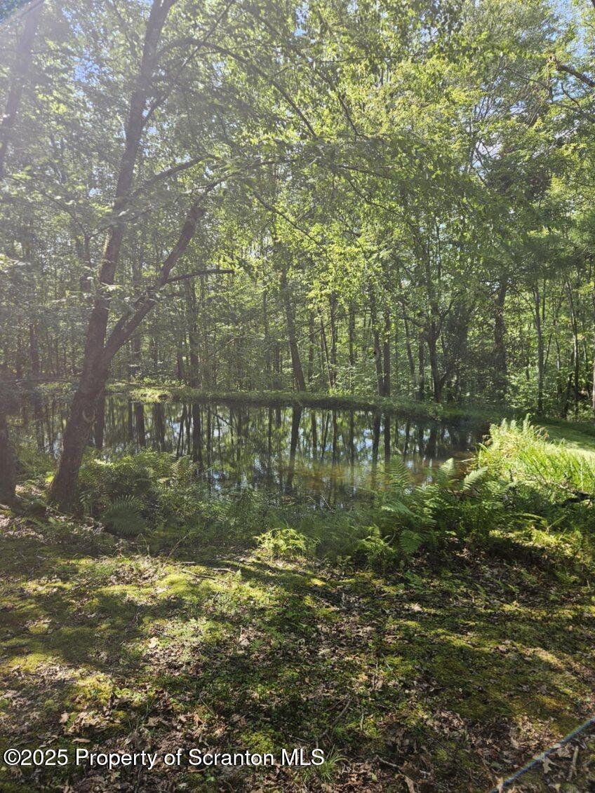 4530 Oak Hill Road Susquehanna, PA 18847 - Photo 39 of 40 a view of a lake view