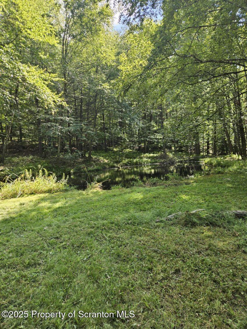4530 Oak Hill Road Susquehanna, PA 18847 - Photo 40 of 40 a view of a lush green space