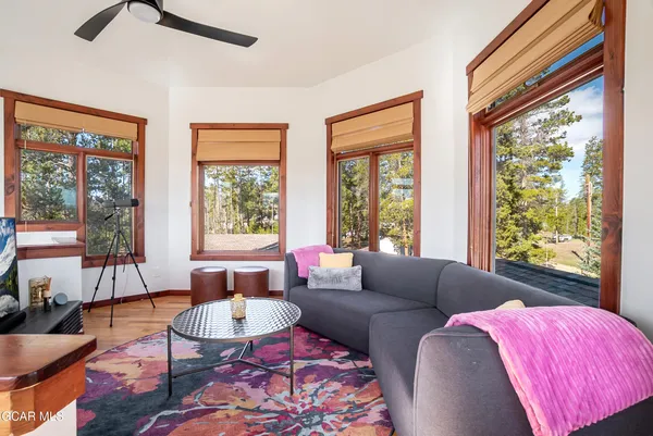 a view of backyard with a tree