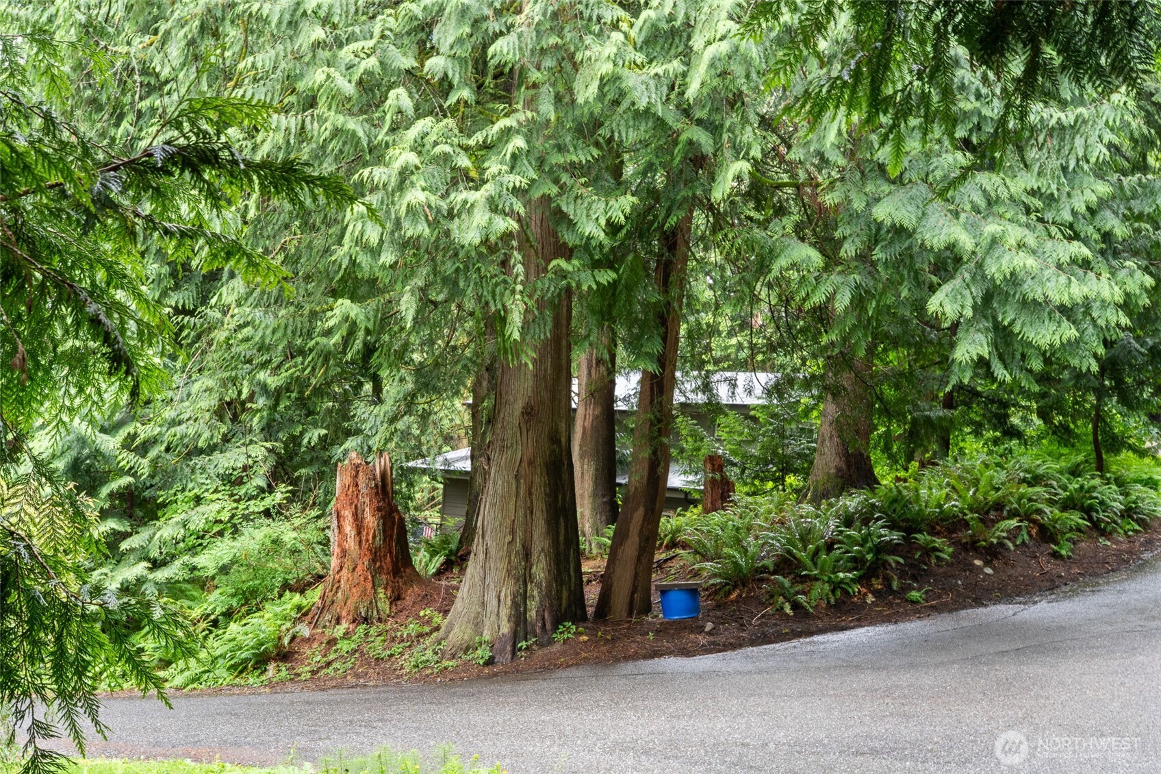 0 Summerset Way Sedro-Woolley, WA 98284 - Photo 5 of 19