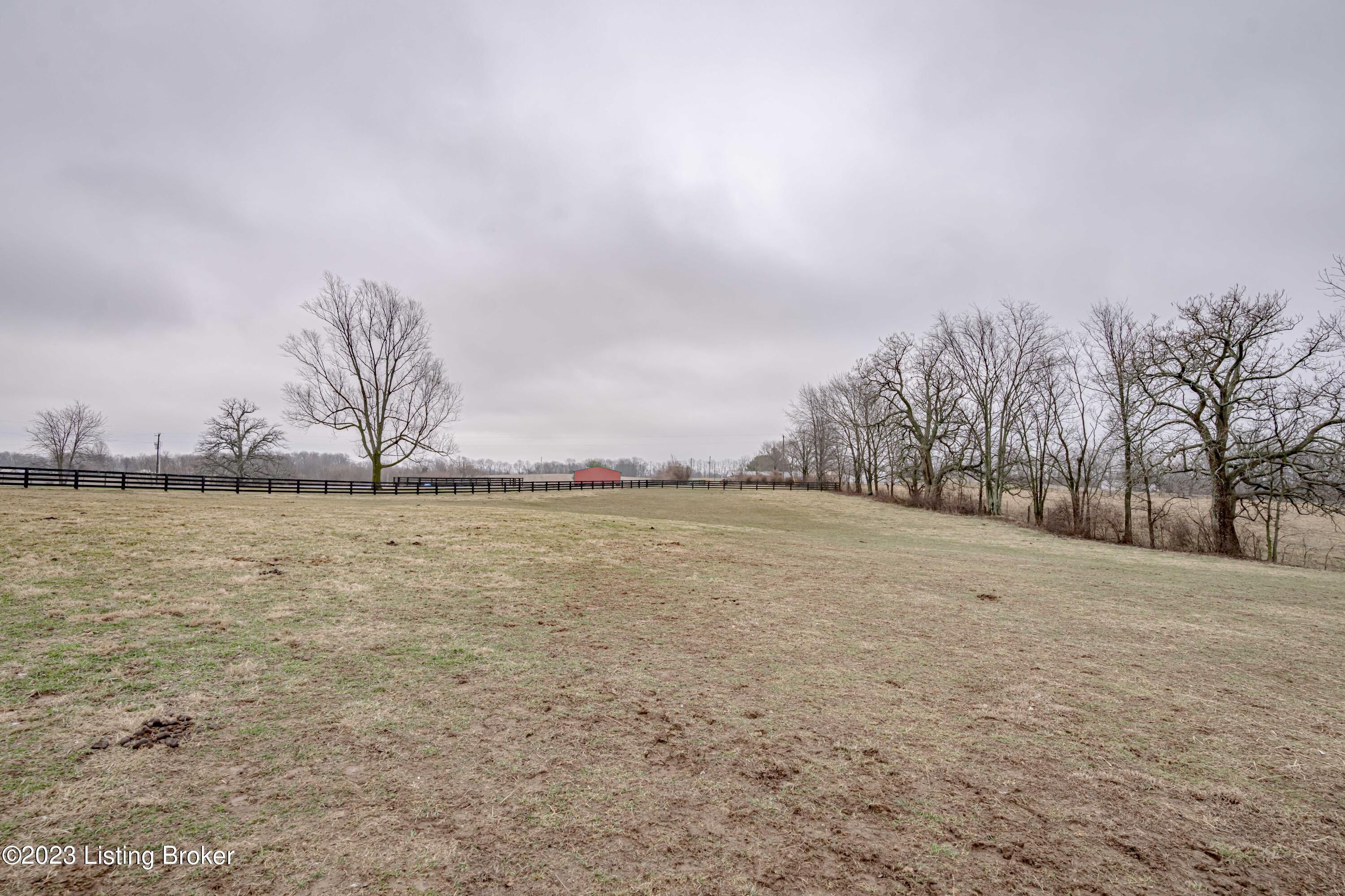1039 Stapleton Road Shelbyville, KY 40065 - Photo 30 of 98 DSC05347