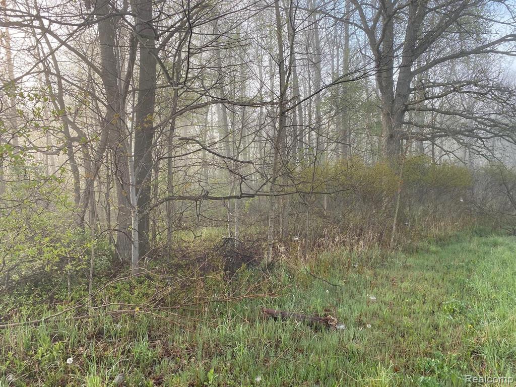 Parcel D Parcel D Mason Fowlerville, MI 48836 - Photo 2 of 2 Gallery Image 2