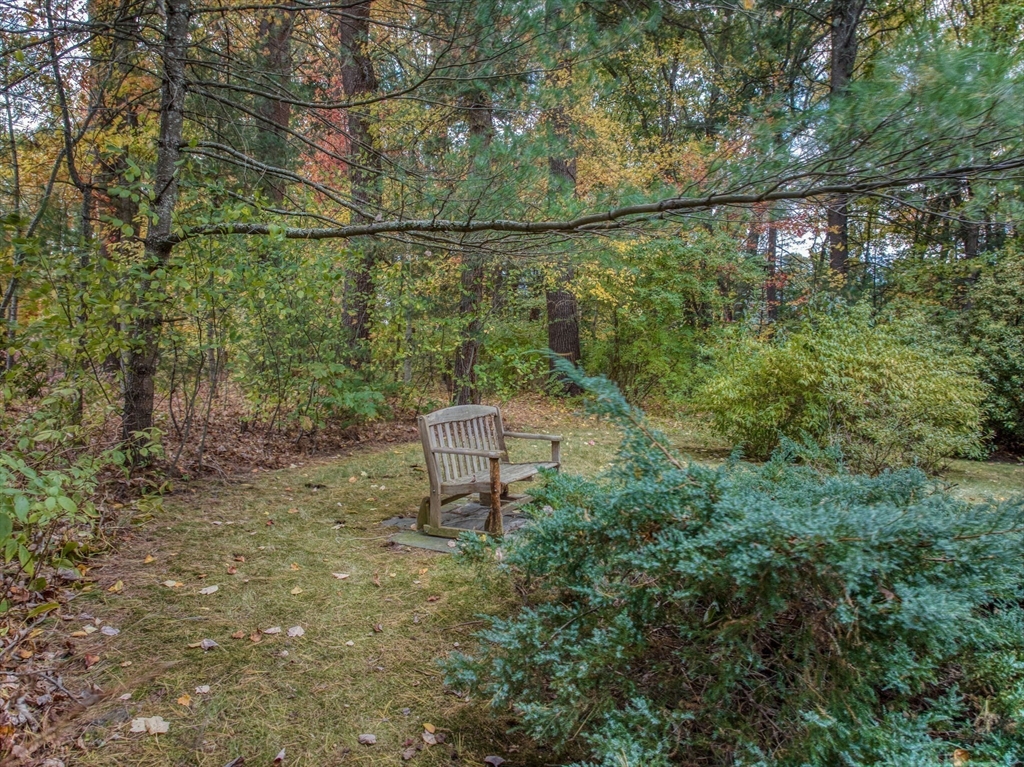 16 Fox Run Road Bedford, MA 01730 - Photo 33 of 37 a garden view with a seating space
