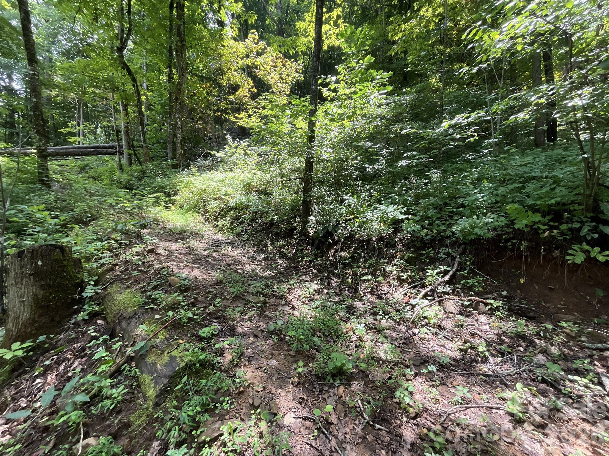 618 Dark Ridge Road Sylva, NC 28779 - Photo 35 of 38 Gallery Image 35