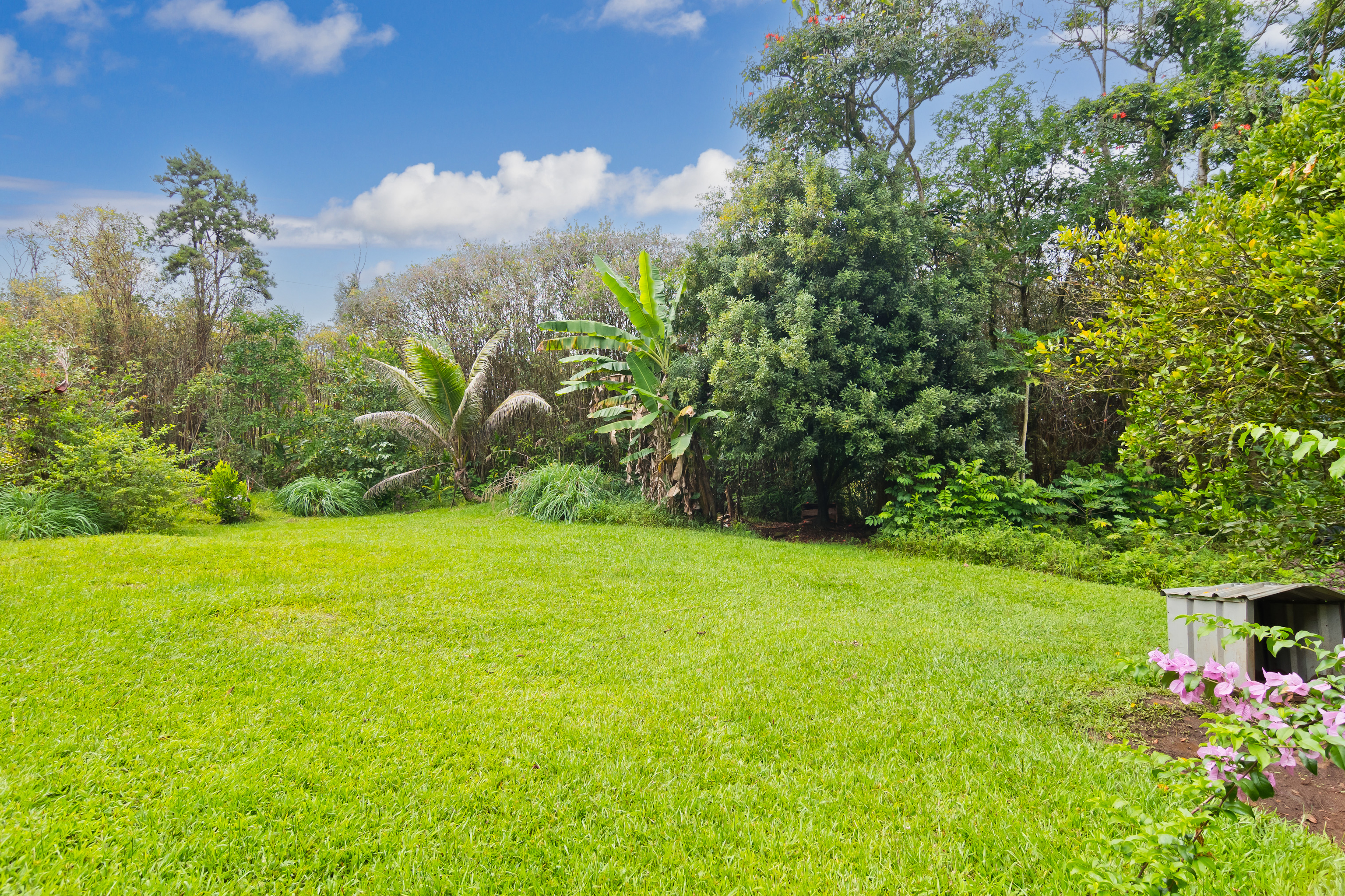 16-1331 Opeapea Road Kurtistown, HI 96760 - Photo 8 of 30