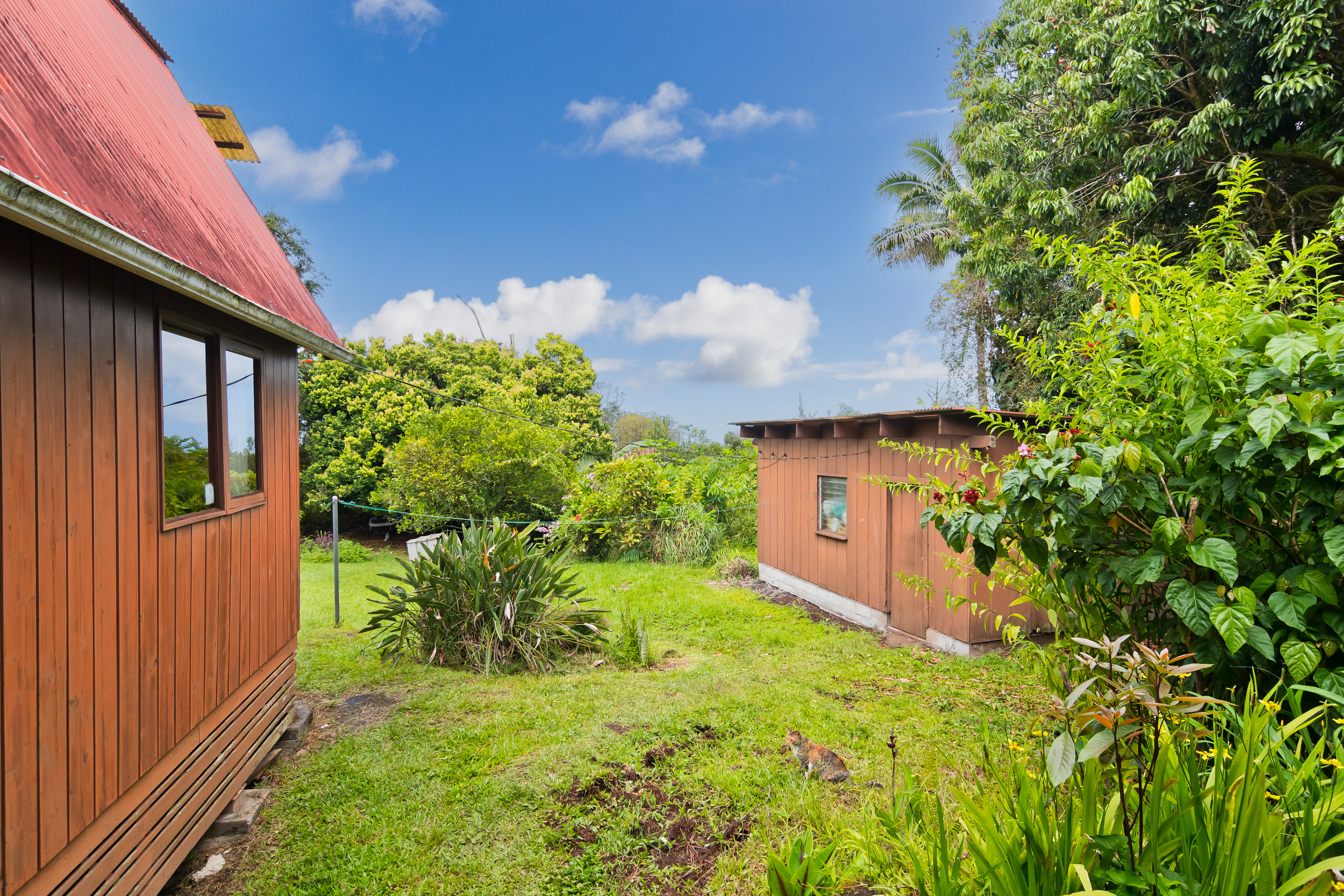 16-1331 Opeapea Road Kurtistown, HI 96760 - Photo 8 of 30