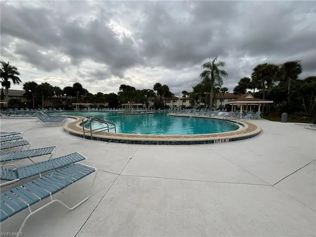 a view of a swimming pool with a lawn chairs under palm trees