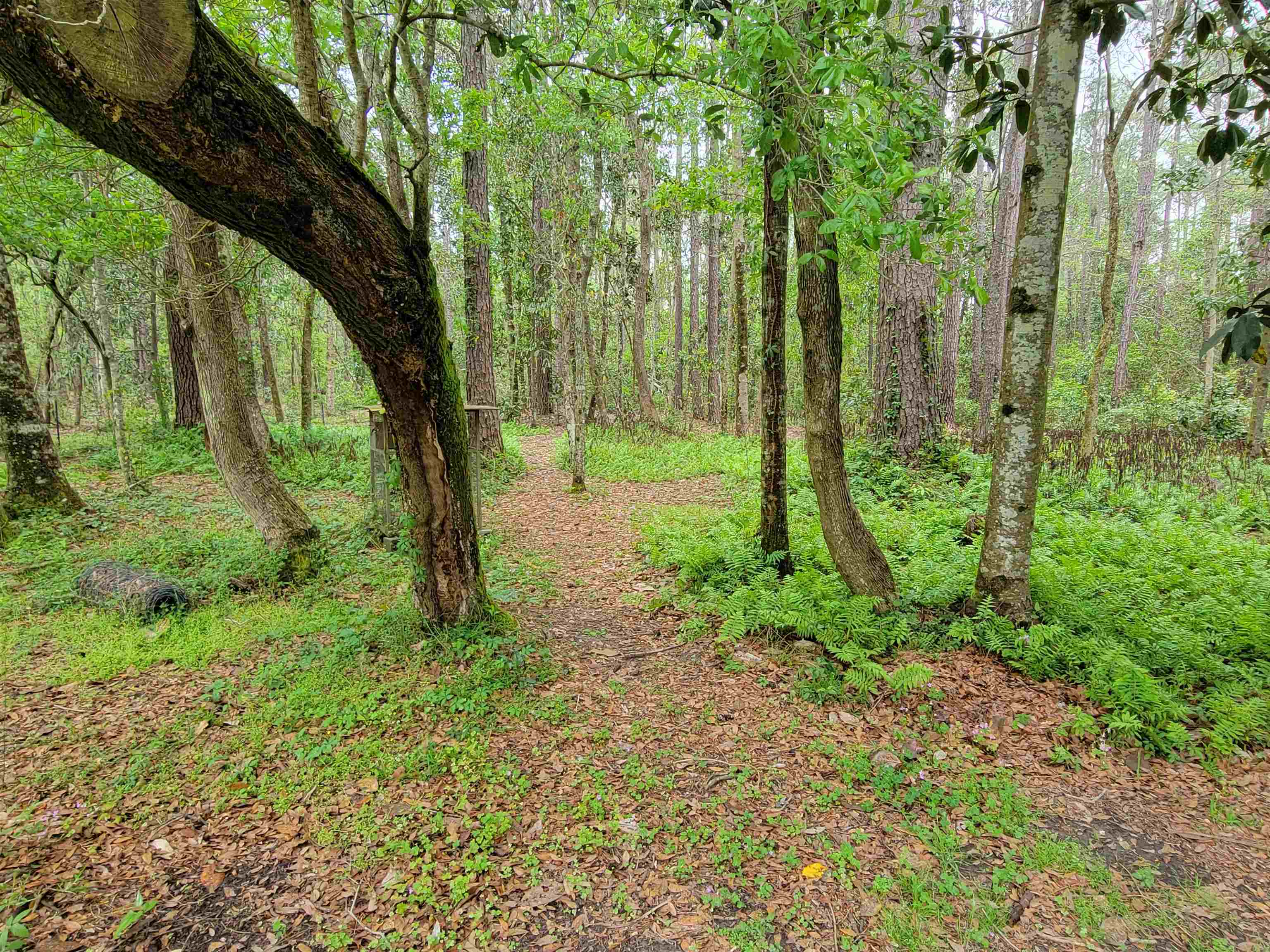 10 County Road Foley, AL 36535 - Photo 5 of 17