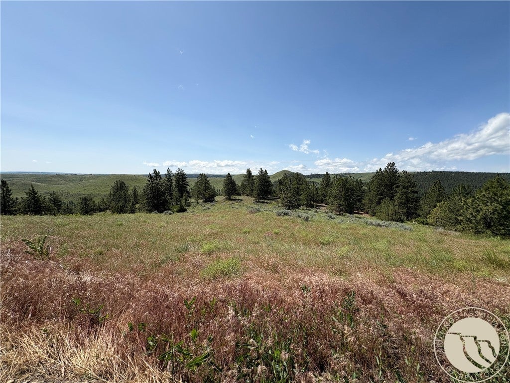 Lot 94 Owl Canyon Road Reed Point, MT 59069 - Photo 2 of 11 Gallery Image 2