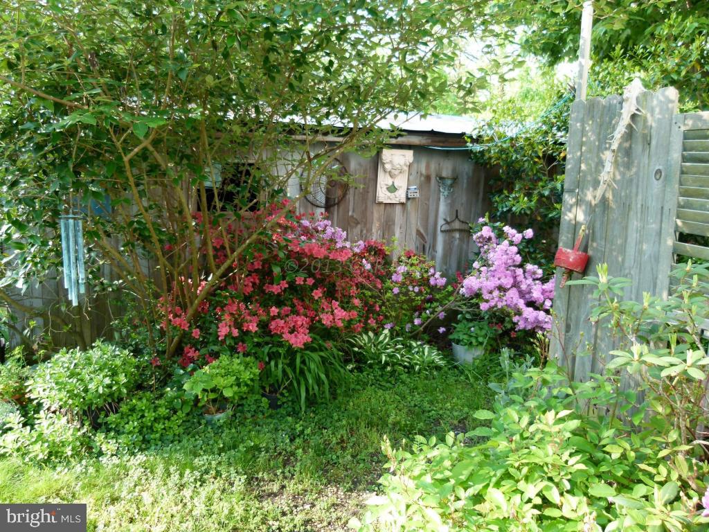 26883 Mt Vernon Road Princess Anne, MD 21853 - Photo 17 of 49 Gallery Image 17