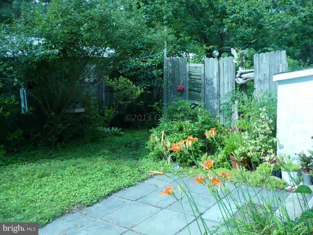 26883 Mt Vernon Road Princess Anne, MD 21853 - Photo 20 of 49 Gallery Image 20