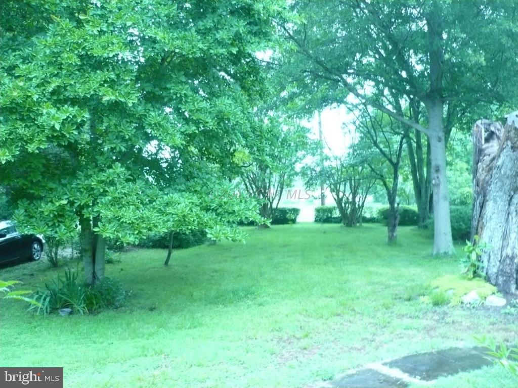 26883 Mt Vernon Road Princess Anne, MD 21853 - Photo 21 of 49 Gallery Image 21