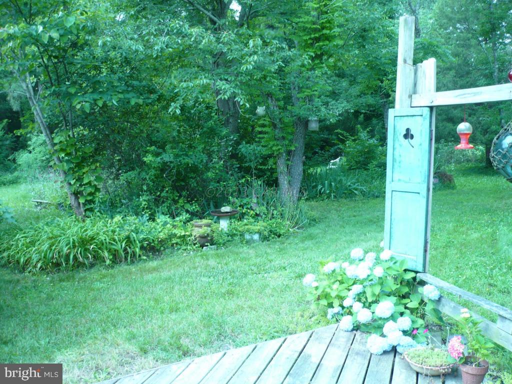 26883 Mt Vernon Road Princess Anne, MD 21853 - Photo 23 of 49 Gallery Image 23