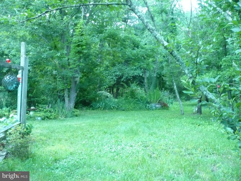 26883 Mt Vernon Road Princess Anne, MD 21853 - Photo 24 of 49 Gallery Image 24