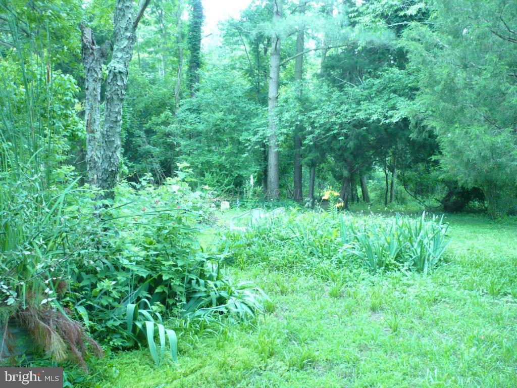 26883 Mt Vernon Road Princess Anne, MD 21853 - Photo 26 of 49 Gallery Image 26