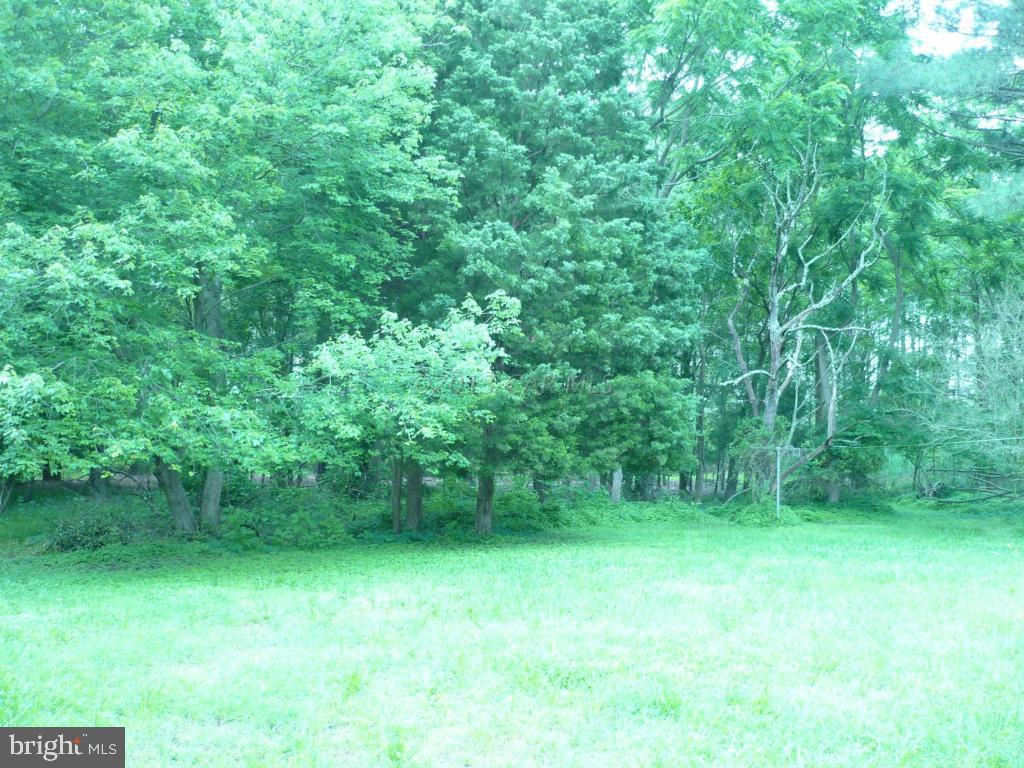 26883 Mt Vernon Road Princess Anne, MD 21853 - Photo 28 of 49 Gallery Image 28