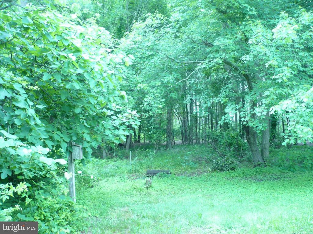 26883 Mt Vernon Road Princess Anne, MD 21853 - Photo 29 of 49 Gallery Image 29