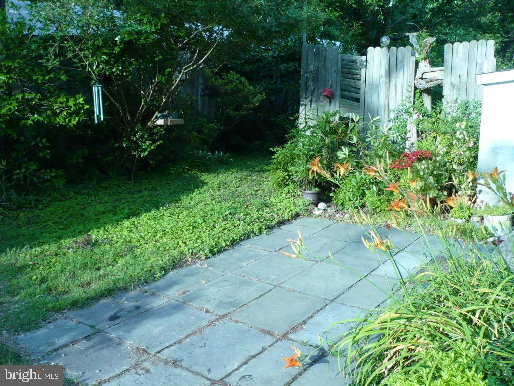 26883 Mt Vernon Road Princess Anne, MD 21853 - Photo 32 of 49 Gallery Image 32
