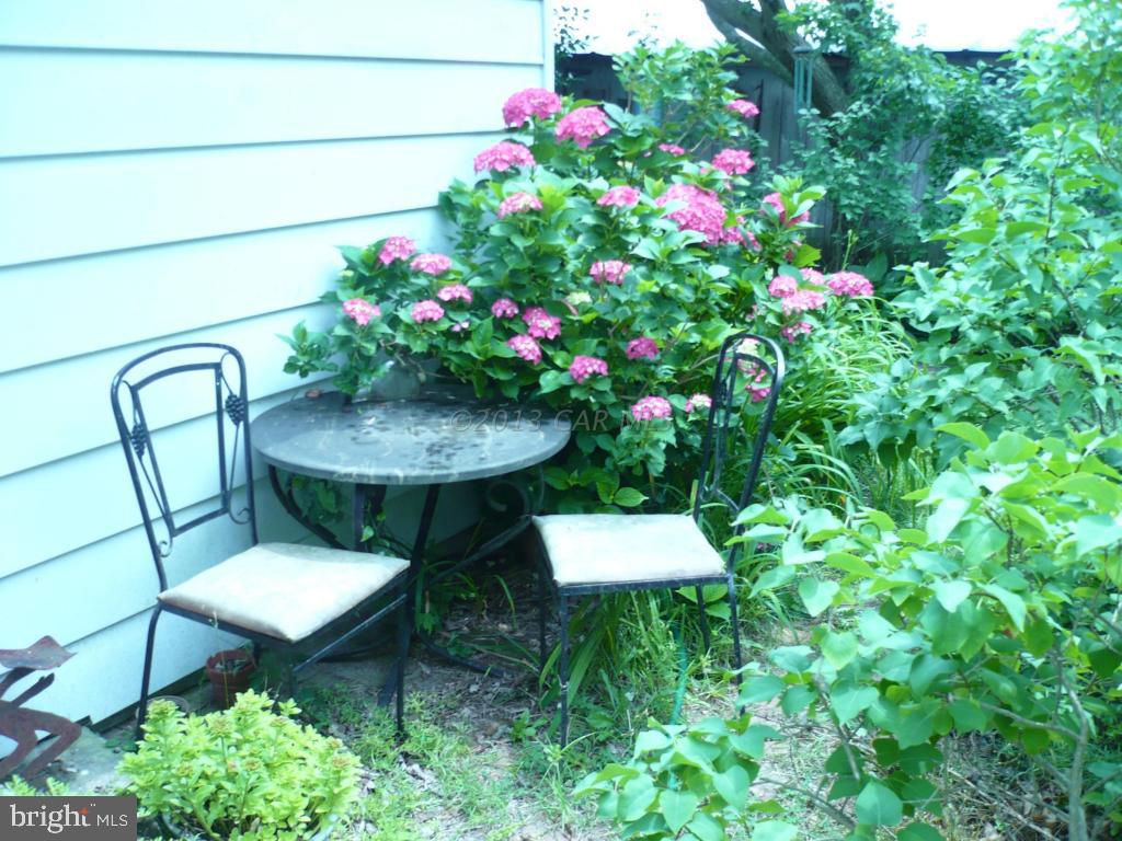 26883 Mt Vernon Road Princess Anne, MD 21853 - Photo 45 of 49 Gallery Image 45