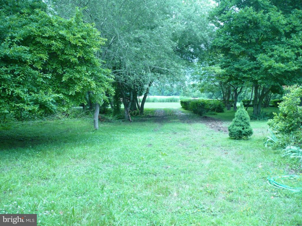 26883 Mt Vernon Road Princess Anne, MD 21853 - Photo 46 of 49 Gallery Image 46