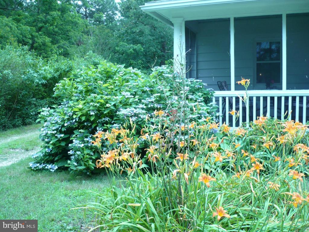 26883 Mt Vernon Road Princess Anne, MD 21853 - Photo 47 of 49 Gallery Image 47