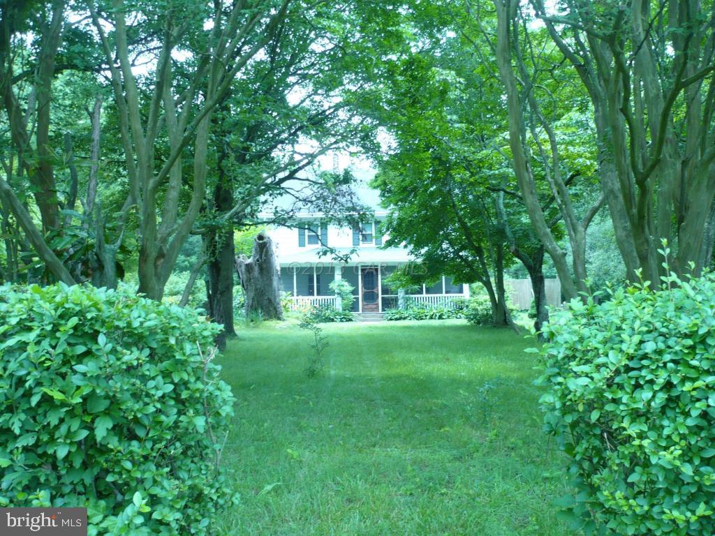 26883 Mt Vernon Road Princess Anne, MD 21853 - Photo 48 of 49 Gallery Image 48