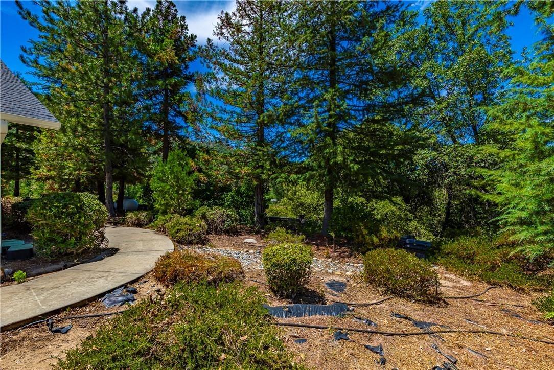 52040 Pettitt Road Oakhurst, CA 93644 - Photo 48 of 67 Gallery Image 48