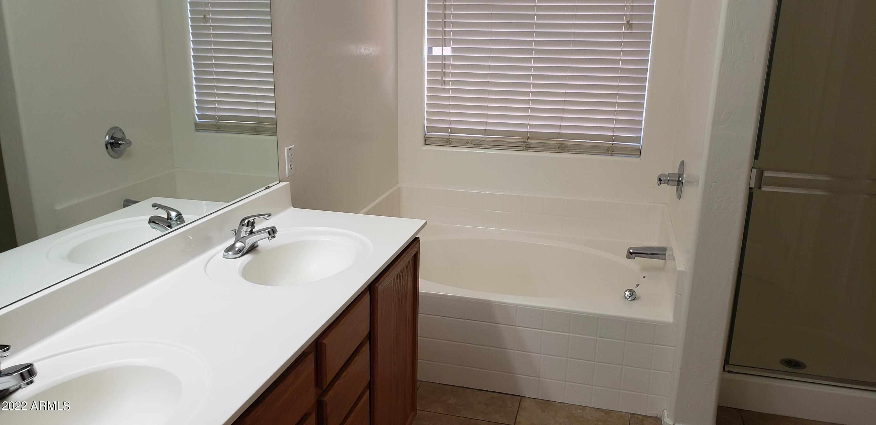 33237 North Double Bar Road Queen Creek, AZ 85144 - Photo 8 of 13 Master Bathroom