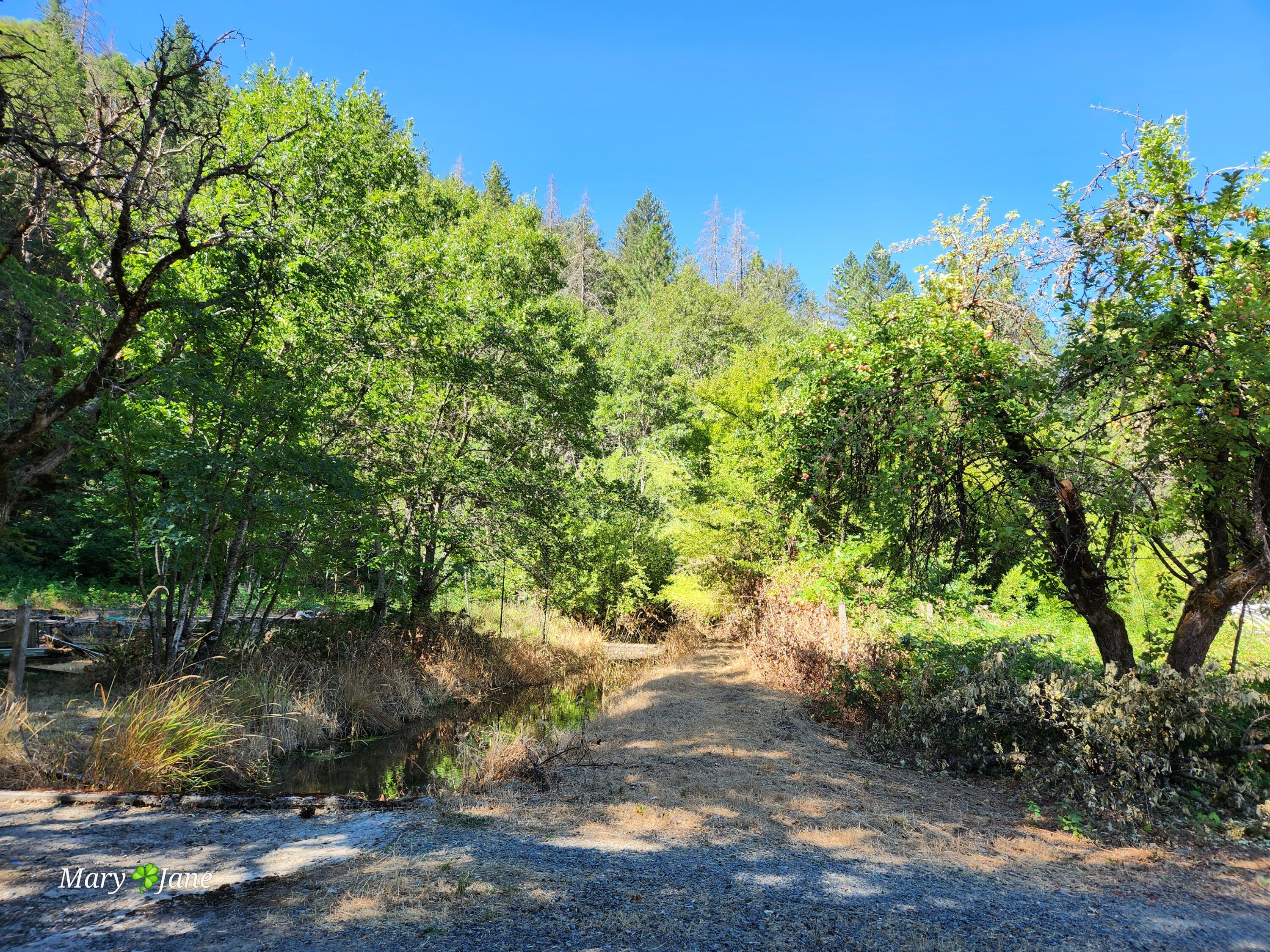 10441 Old Stage Road Gold Hill, OR 97525 - Photo 12 of 12 1000012244