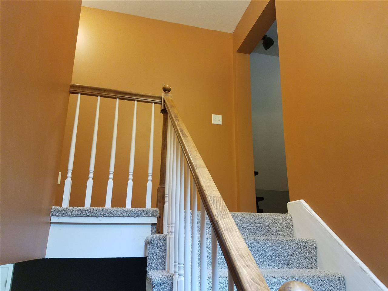 490 Avery Hill Road Alton, NH 03837 - Photo 15 of 38 Gallery Image 15