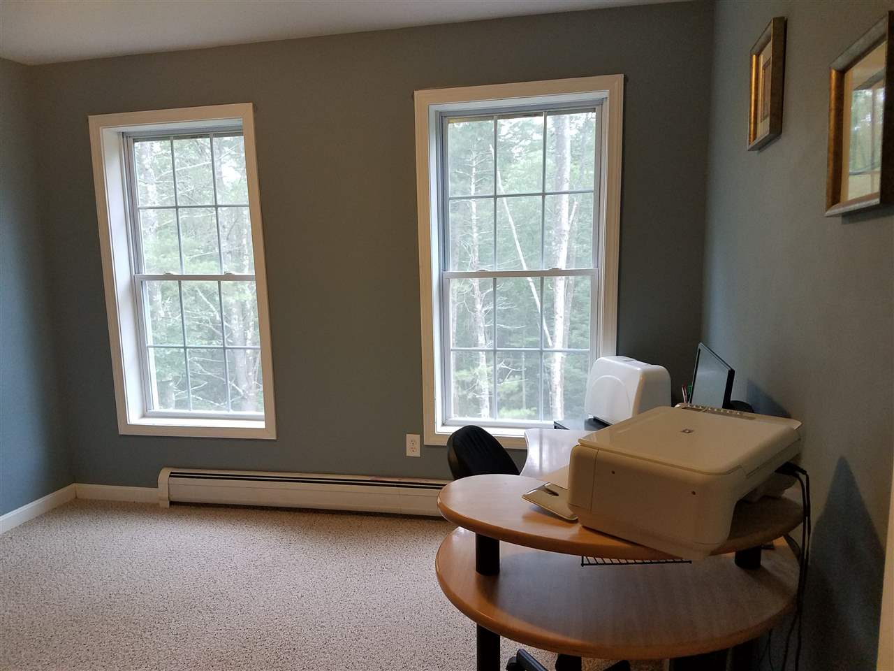 490 Avery Hill Road Alton, NH 03837 - Photo 20 of 38 Gallery Image 20