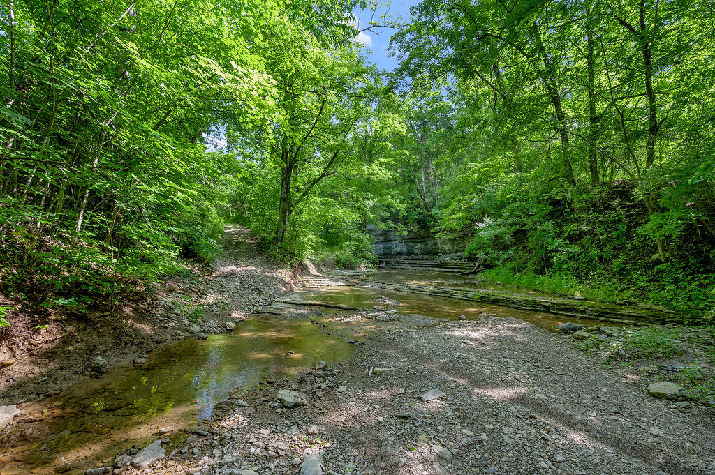 780 Stoney Run Road Richmond, KY 40475 - Photo 7 of 25 TDB_1386