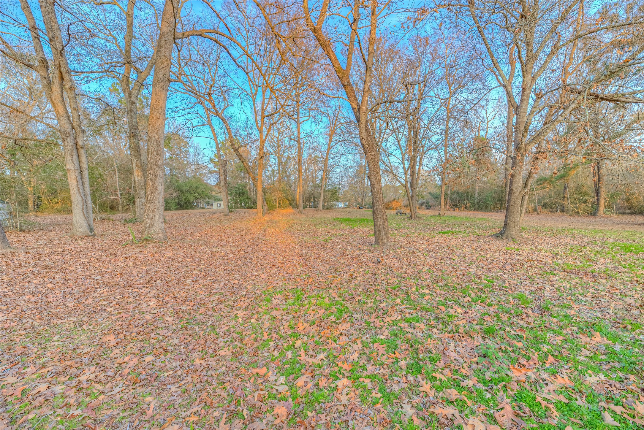 17709 Pine View Drive Conroe, TX 77302 - Photo 26 of 26 a backyard of apartments with large trees