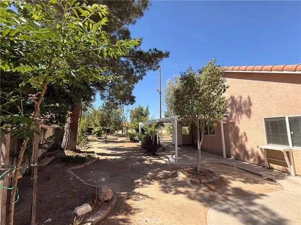 a view of a street with a tree in the background